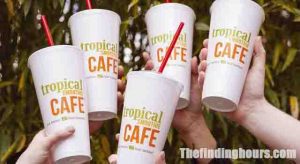 Tropical Smoothie Hours